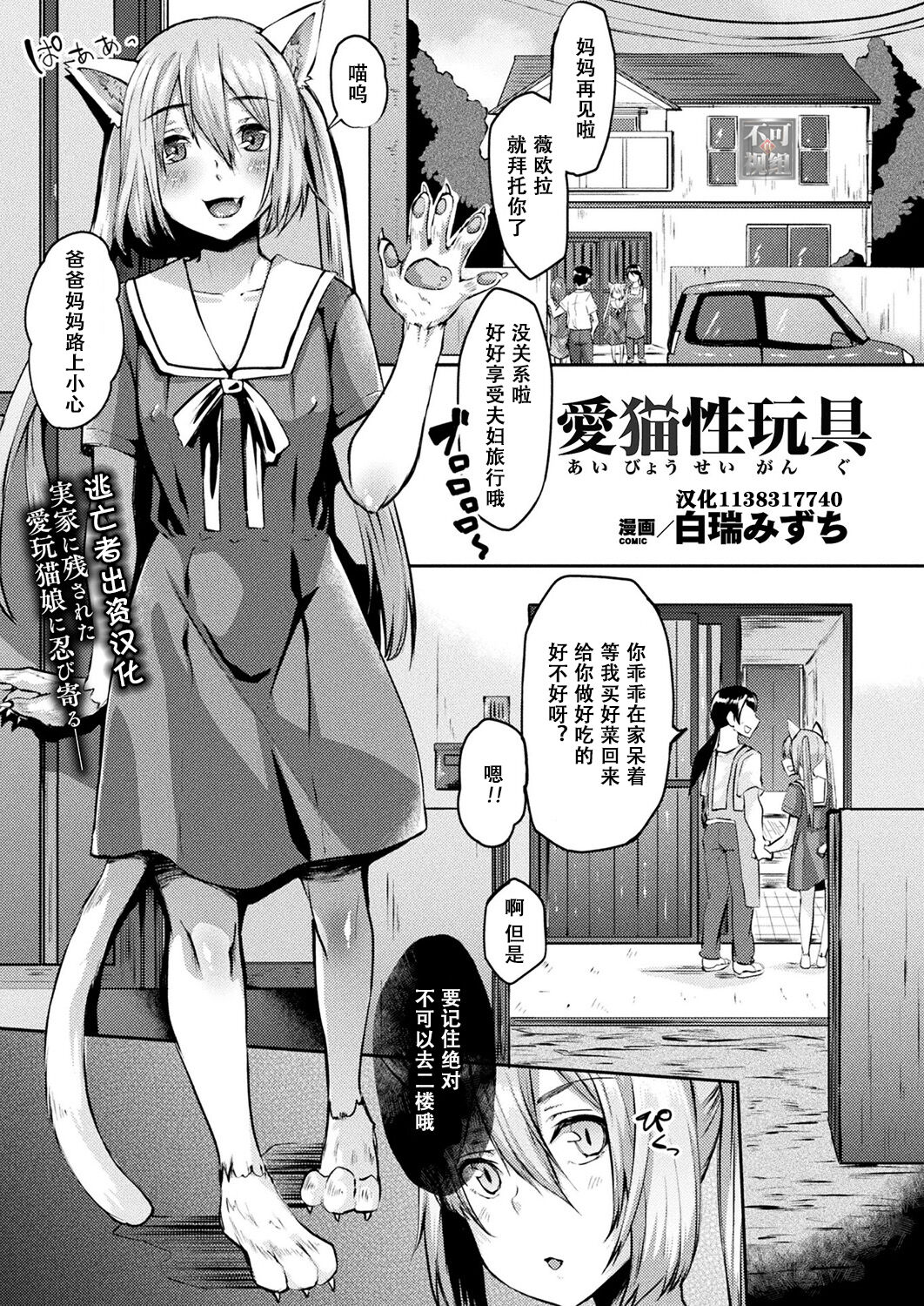 愛猫性玩具