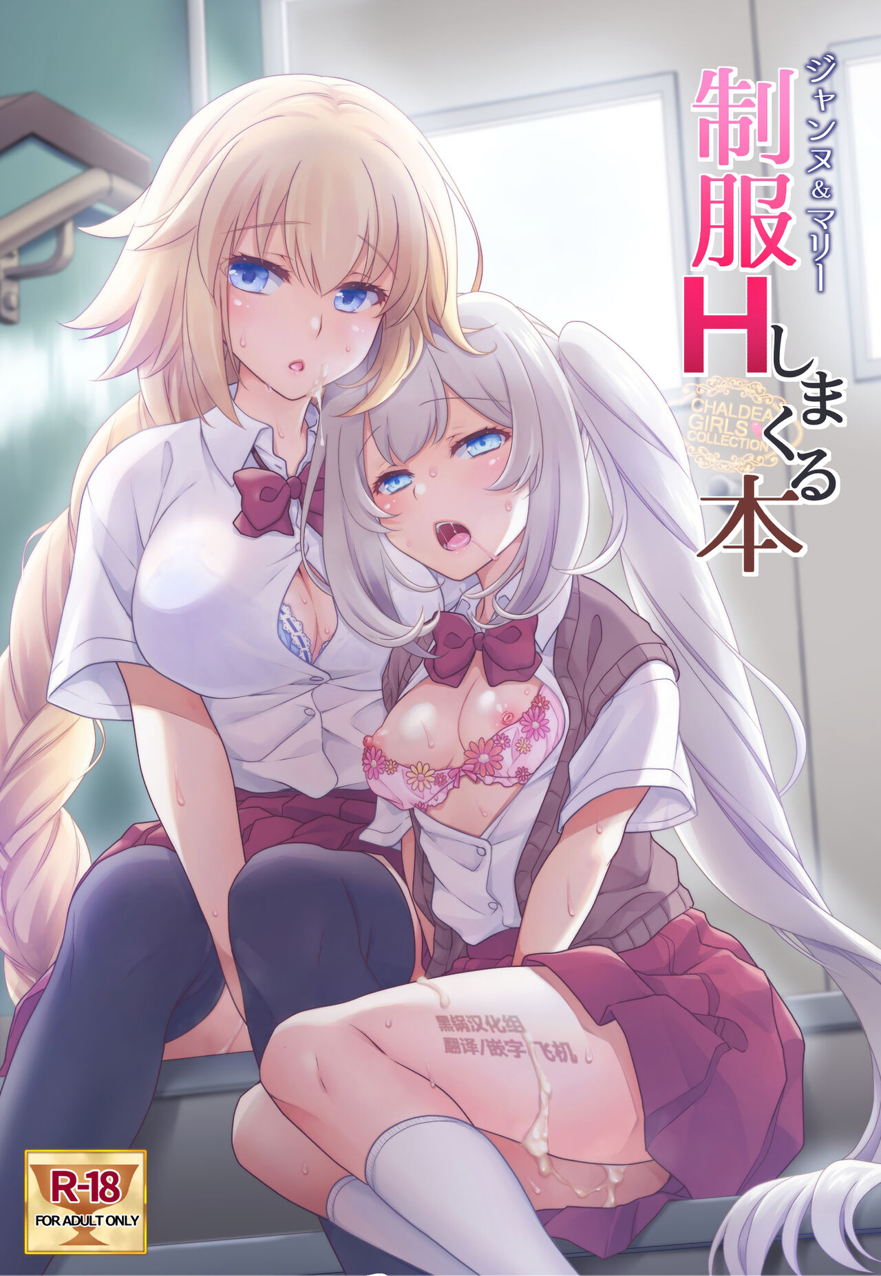 CHALDEA GIRLS COLLECTION Jeanne & Marie Seifuku H Shimakuru HonCHALDEA GIRLS COLLECTION ジャンヌ＆マリー制服Hしまくる本