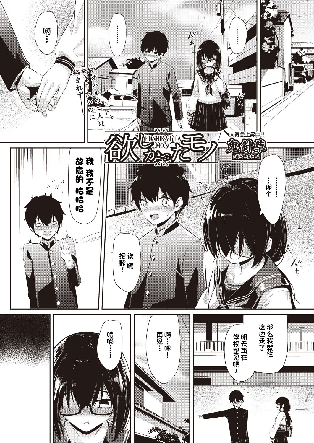 Hoshikatta Mono欲しかったモノ