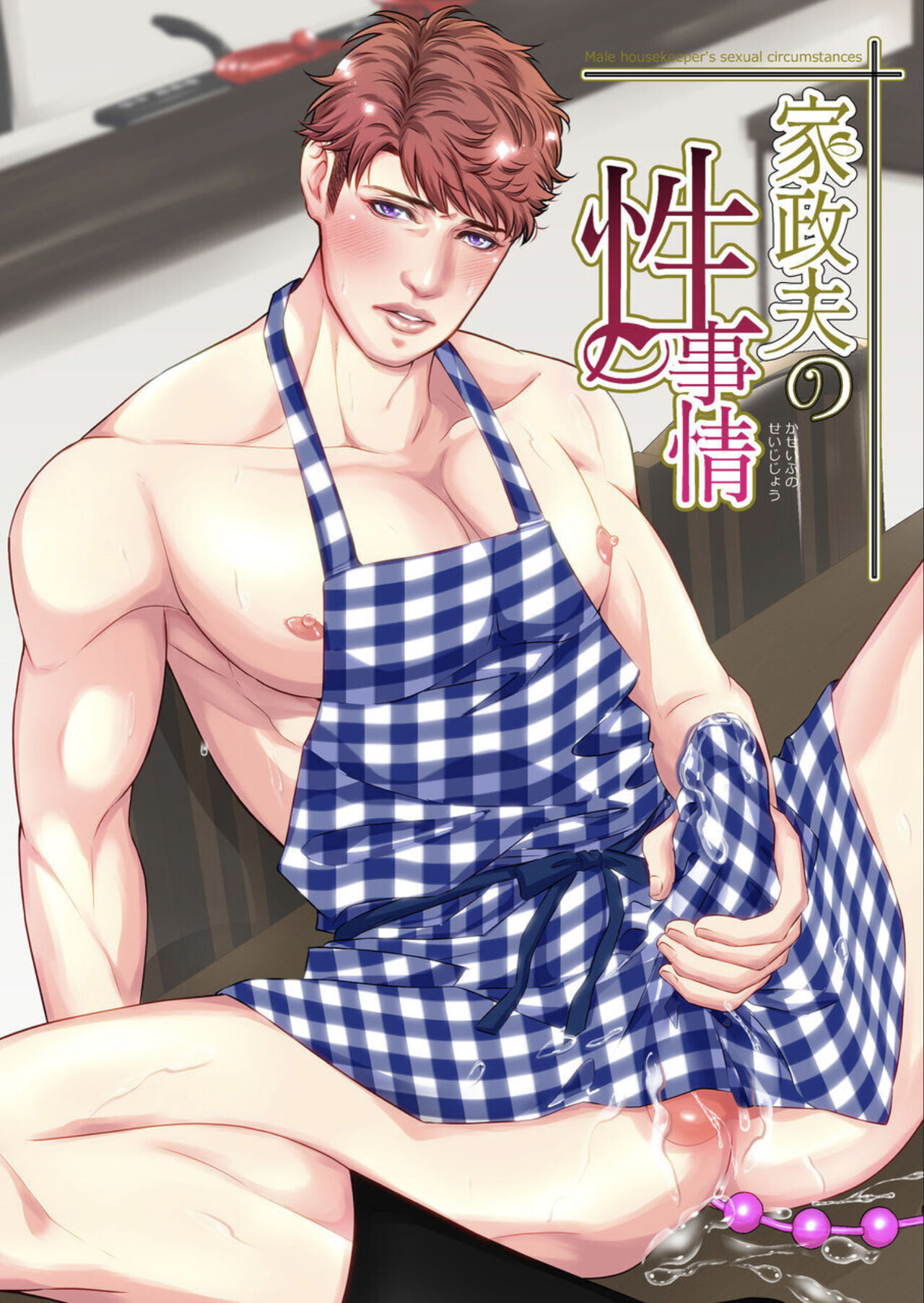Kaseifu no Seijijou家政夫の性事情