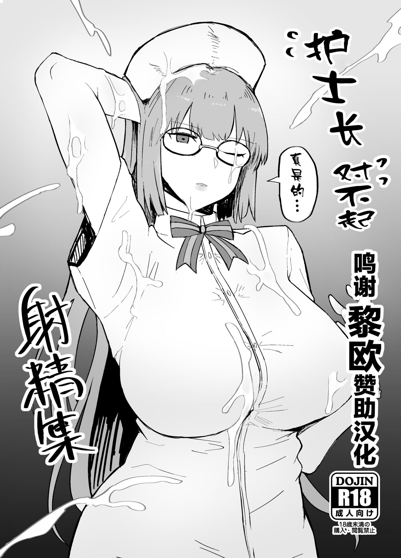 Fucho Gome Shasei Shuuふちょごめ射精集