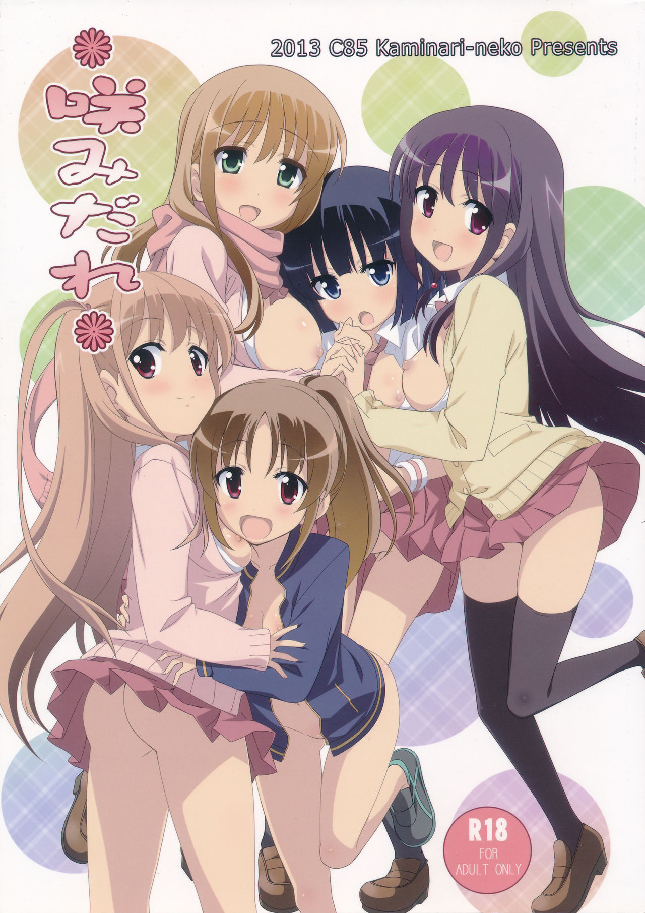 Saki Midare咲みだれ