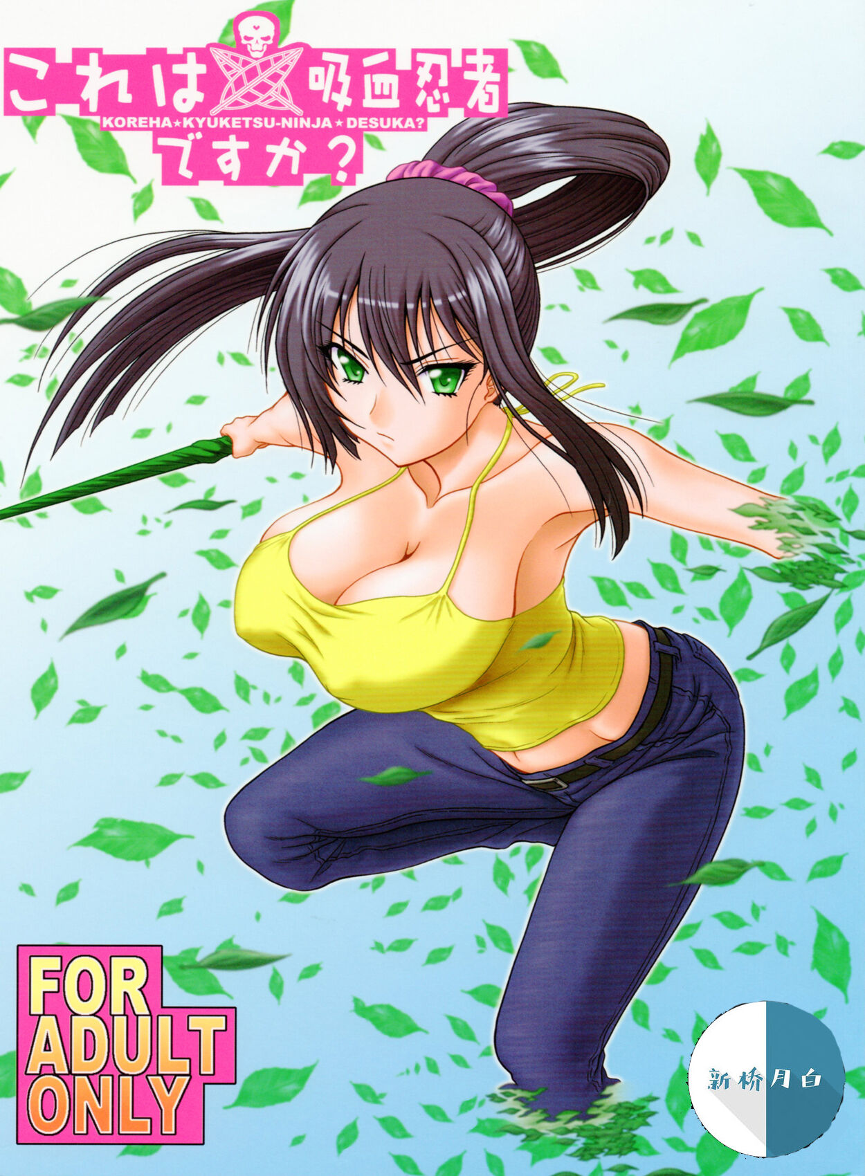 Kore wa Kyuuketsu Ninja Desu ka?これは吸血忍者ですか?