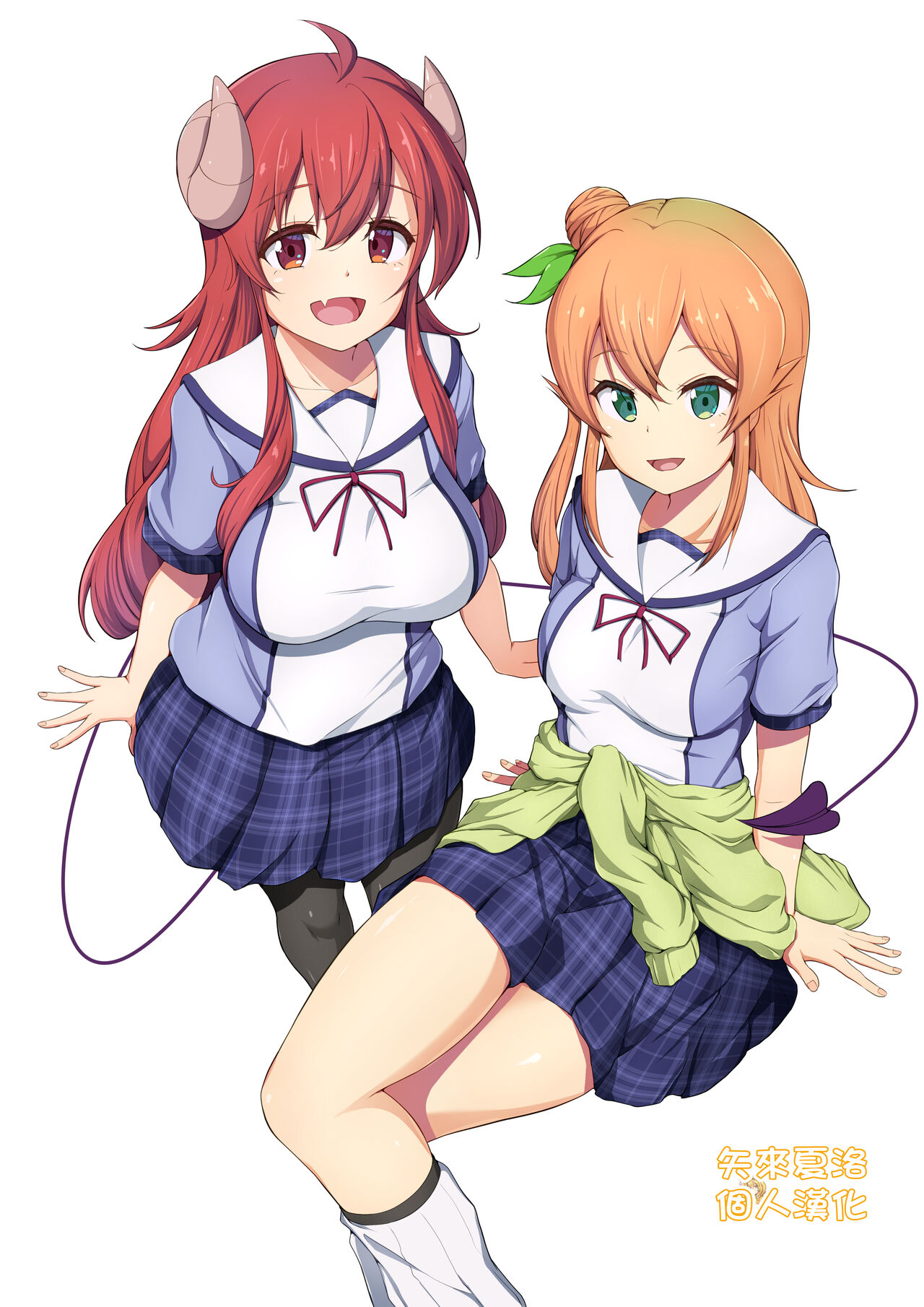 Shamikan no Honシャミカンのほん