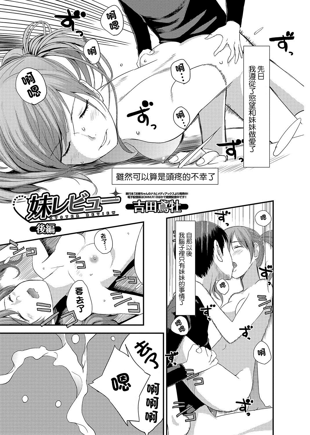 Syster Review Kouhen妹レビュー 後編