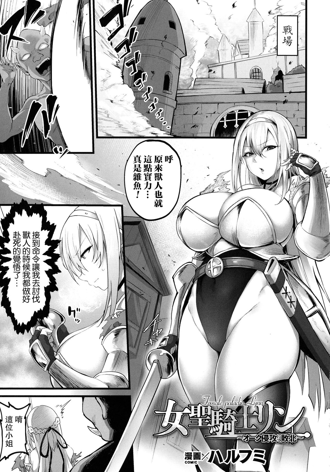 Female paladin Lynn女聖騎士リン