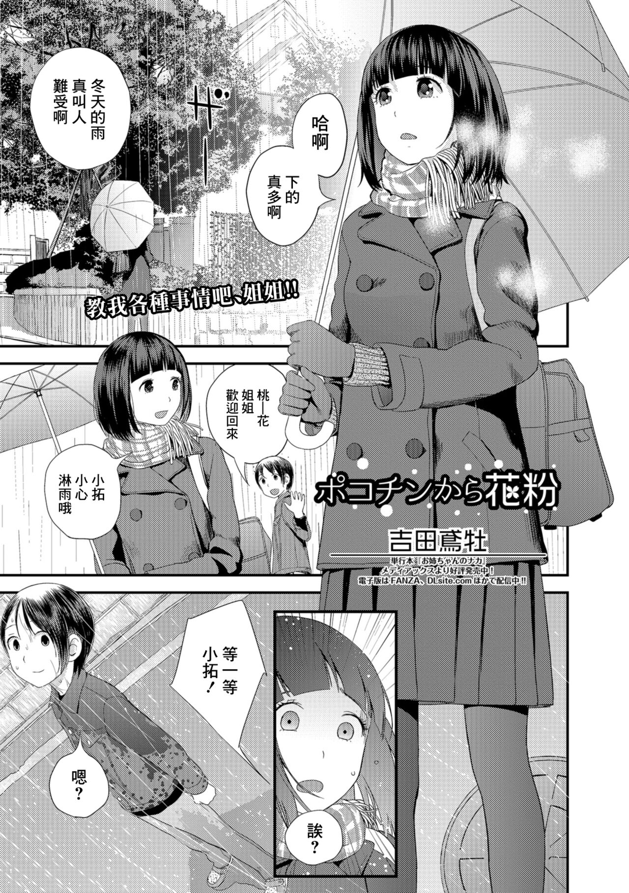 Pokochin Kara Kafunポコチンから花粉