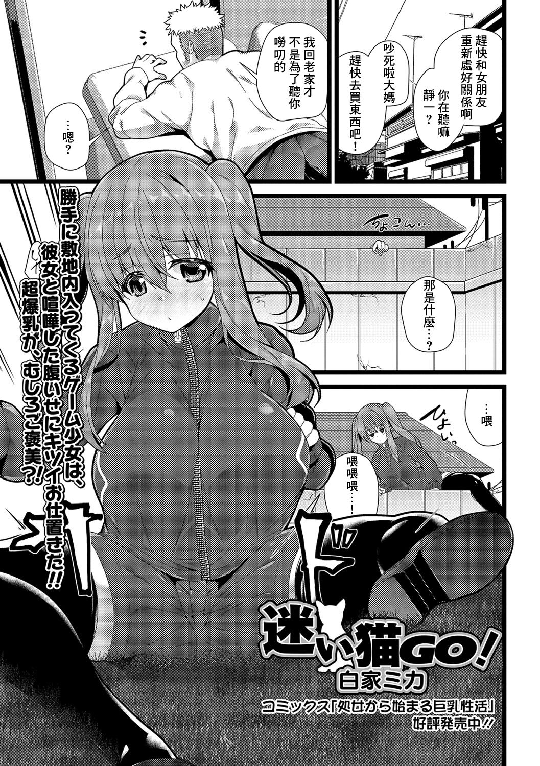 Mayoi Neko GO!迷い猫GO!