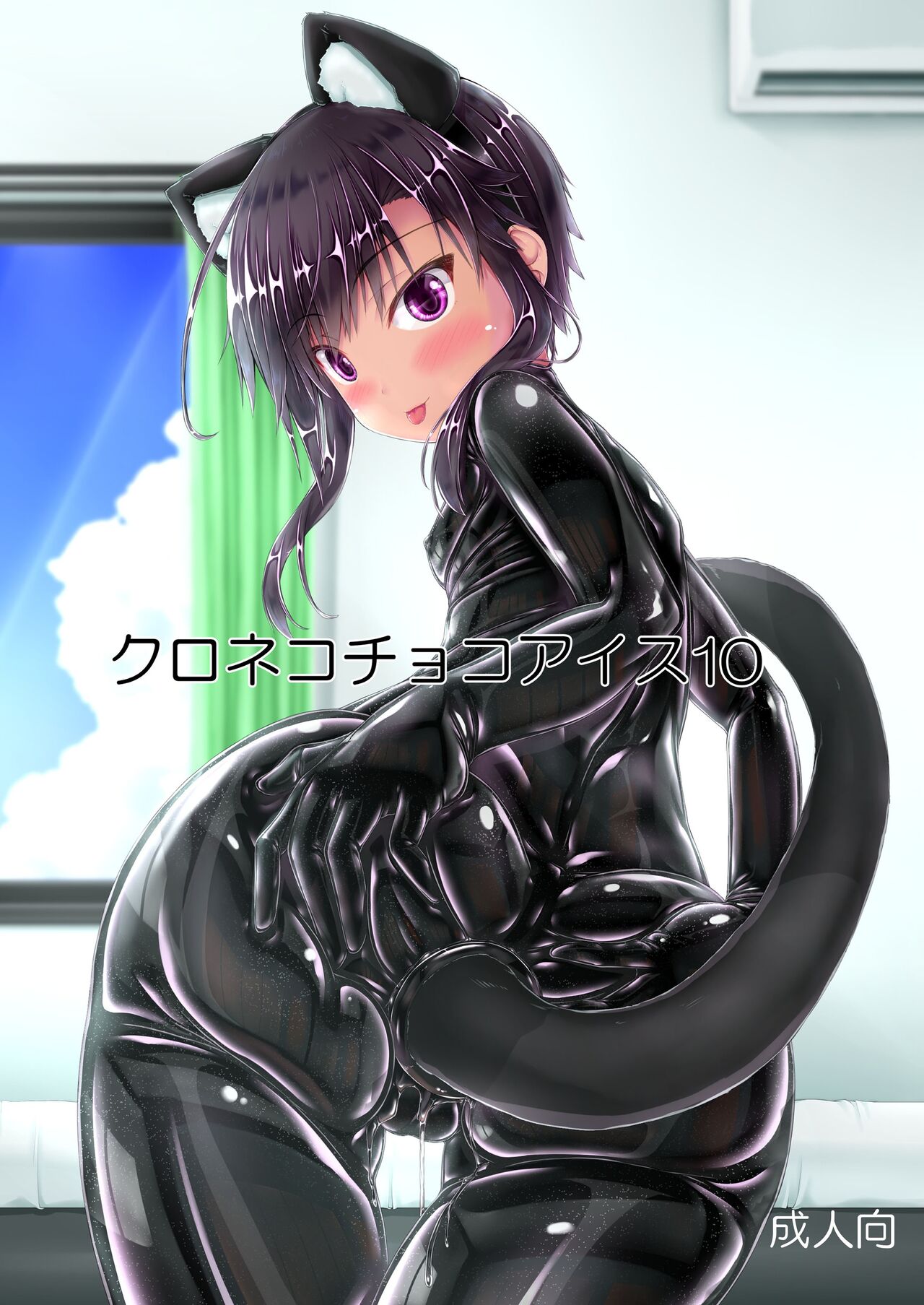 Kuroneko Choco Ice 10クロネコチョコアイス10