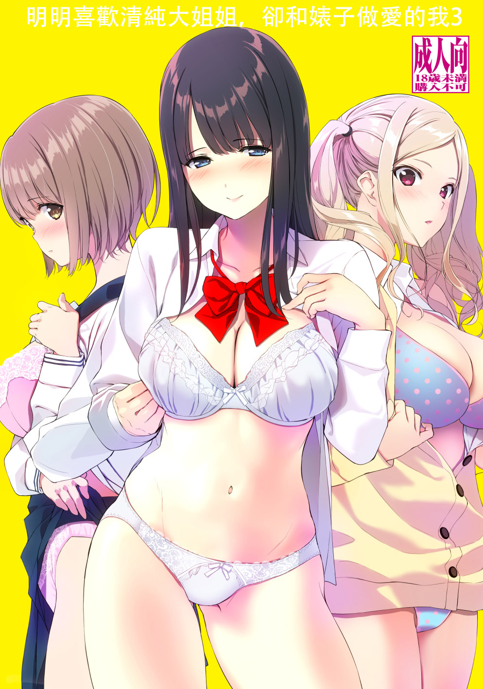 Seiso na Ane ga Suki nanoni, Bitch to Sex Shiteru Ore 3清楚な姉が好きなのに、ビッチとセックスしてる俺3