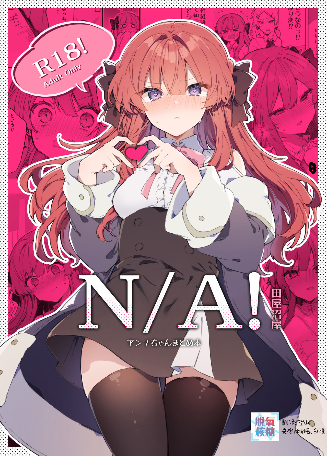 N/A! Anna-chan Matome HonN/A!アンナちゃんまとめ本