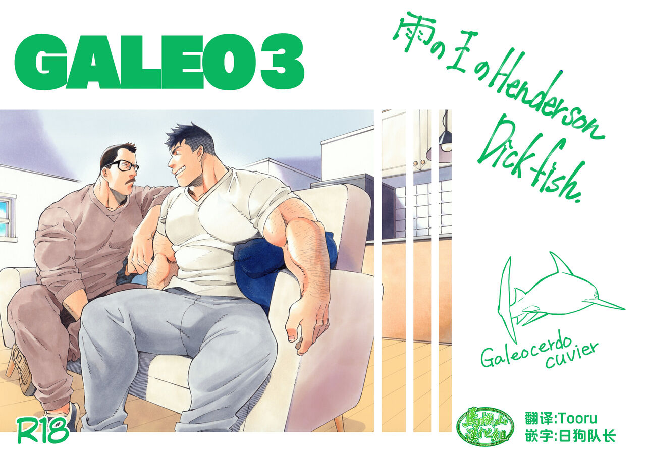 GALEO3ガレオ3