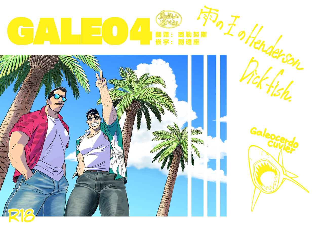 GALEO4ガレオ4