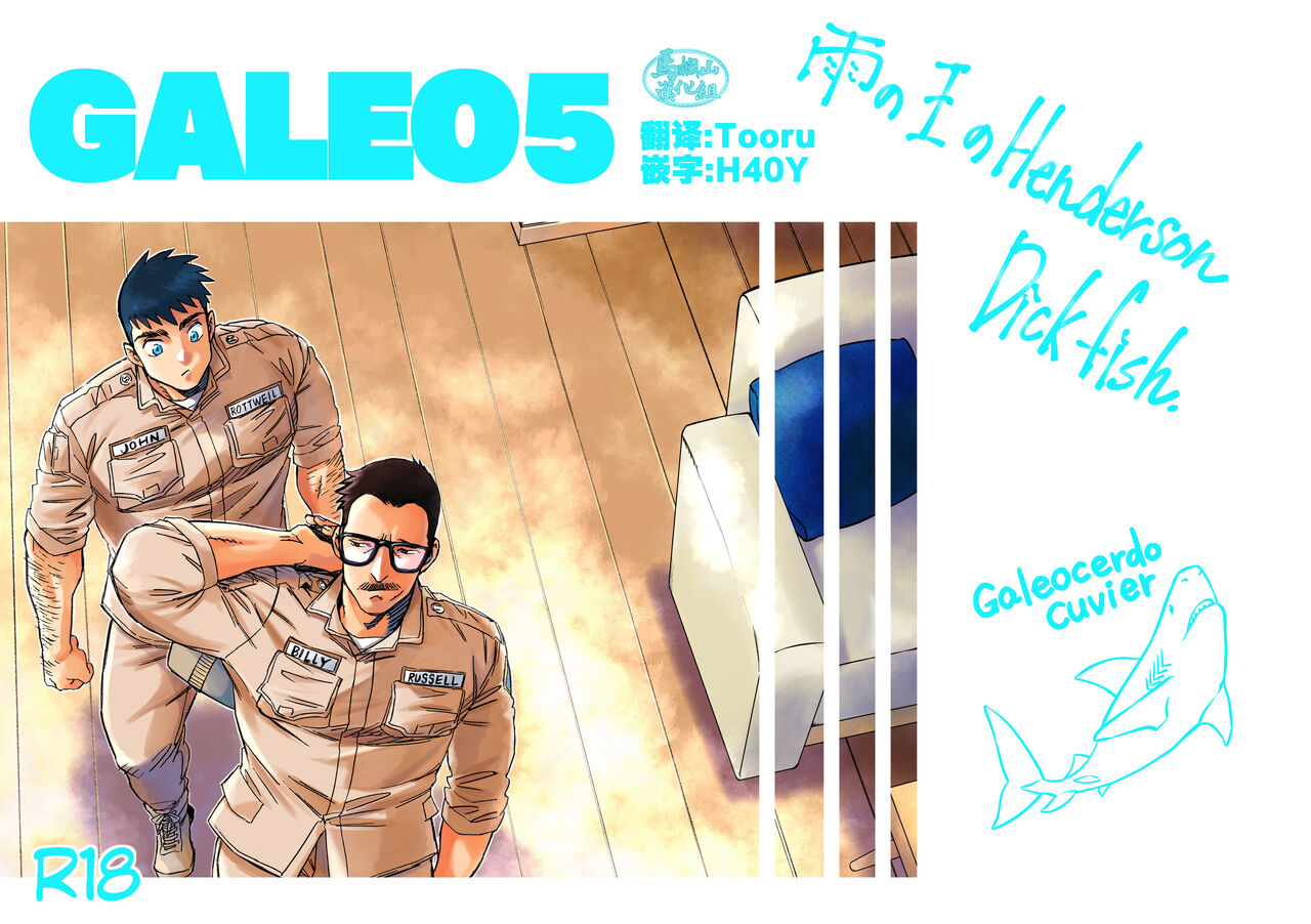 GALEO5ガレオ5